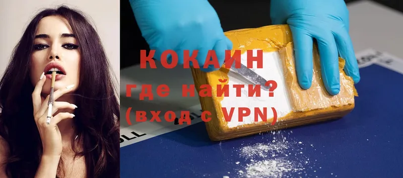 COCAIN Fish Scale  Пудож 