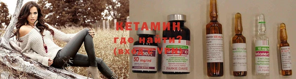 шишки Пересвет