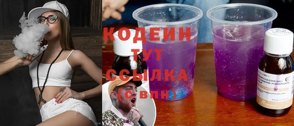ECSTASY Няндома