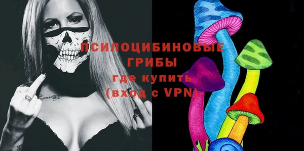 ECSTASY Няндома