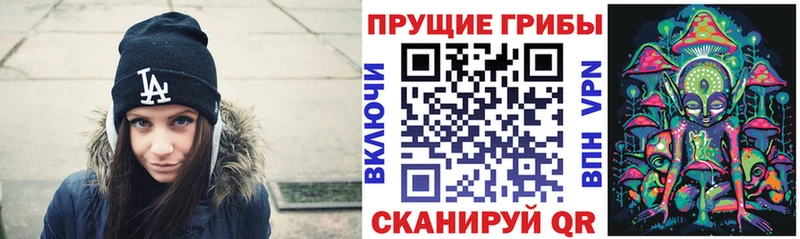 Псилоцибиновые грибы Magic Shrooms  Пудож 